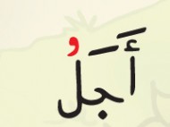 8 – Harakat – Vowel Marks – Damma